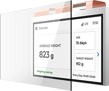 Protected, inset display